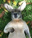 kanganator