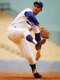 njlefty